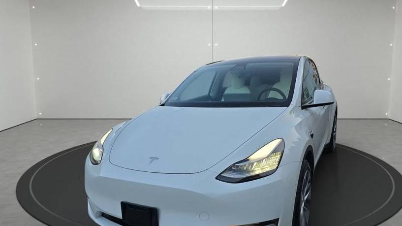 TESLA MODEL Y 2021 5YJYGDEE3MF085272 image